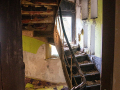 MG_3261-Kopie