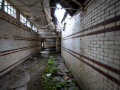North Wales Hospital