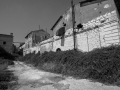 MG_8996