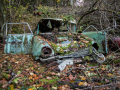 MG_5613-Kopie
