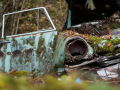 MG_5621-Kopie