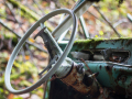 MG_5625-Kopie