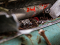 MG_5638-Kopie