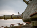 MG_5783-Kopie