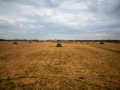 MG_5790-Kopie