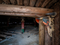 MG_1680-Kopie