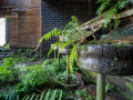 MG_3945-Kopie