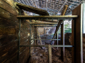 MG_3961-Kopie