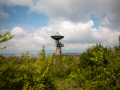 MG_6228-Kopie
