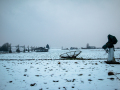 MG_4397-Kopie