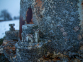 MG_4411-Kopie