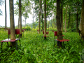MG_3092-Kopie