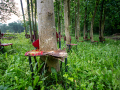 MG_3093-Kopie