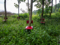 MG_3097-Kopie