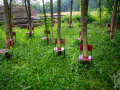 MG_3098-Kopie