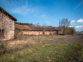 MG_1318-Kopie