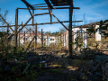 MG_1319-Kopie