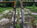 MG_2896-Kopie