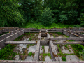 MG_2900-Kopie