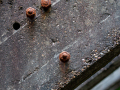 MG_2913-Kopie