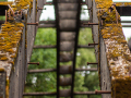 MG_2915-Kopie