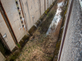 MG_1364-Kopie