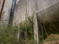 MG_1373-Kopie