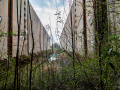 MG_1374-Kopie