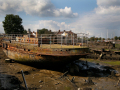 MG_7264-Kopie