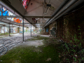 MG_1635-Kopie