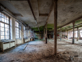 MG_1656-Kopie