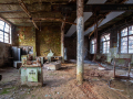 MG_1659-Kopie