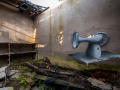 MG_1674-Kopie