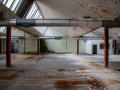 MG_4379-Kopie