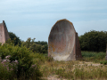 MG_6950-Kopie