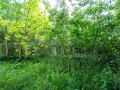 MG_3091-Kopie