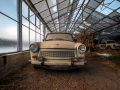 MG_0026-Kopie