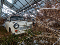 MG_9994-Kopie