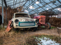 MG_9999-Kopie