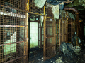 MG_1386-Kopie
