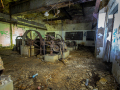 MG_1440-Kopie