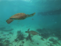 DCIM\106GOPRO\GOPR9155.JPG