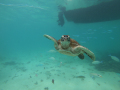 DCIM\106GOPRO\GOPR9161.JPG