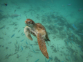 DCIM\106GOPRO\GOPR9199.JPG