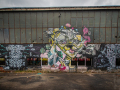 MG_1528-Kopie