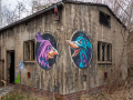 MG_1536-Kopie