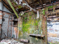 MG_1587-Kopie