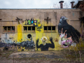 MG_1608-Kopie