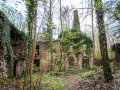 MG_1816-Kopie