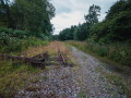 MG_7629-Kopie